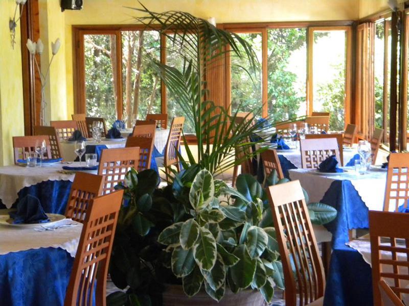 Hotel Rosa Del Tirreno Quercianella Zewnętrze zdjęcie