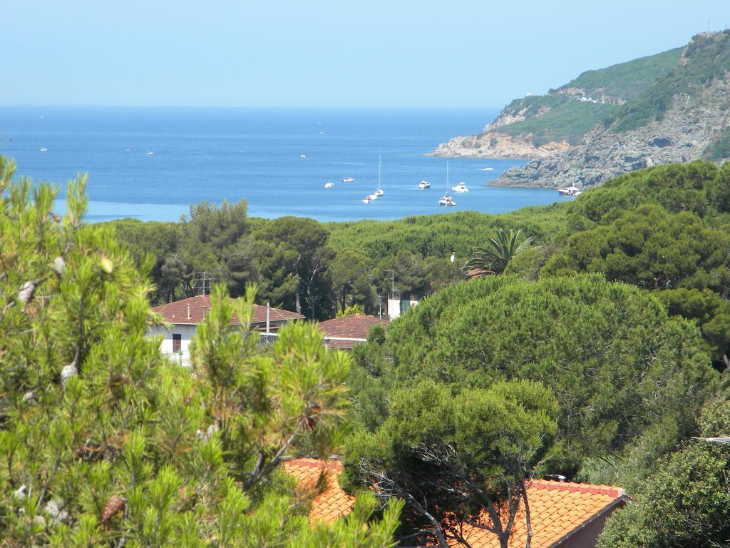 Hotel Rosa Del Tirreno Quercianella Zewnętrze zdjęcie